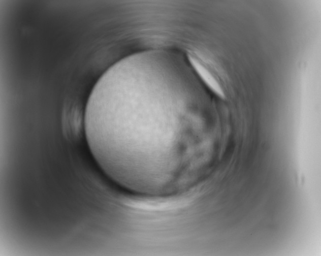 X0000088480021200706051408