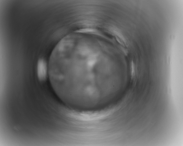 X0000088480022200706051408