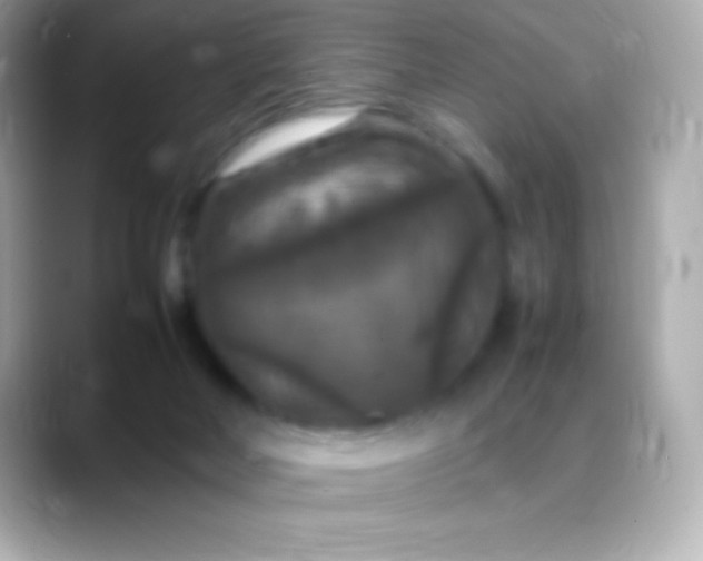 X0000088480026200706051408