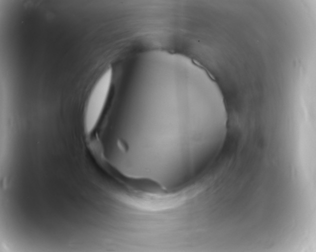 X0000088480027200706051408