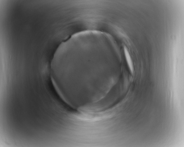 X0000088480029200706051408
