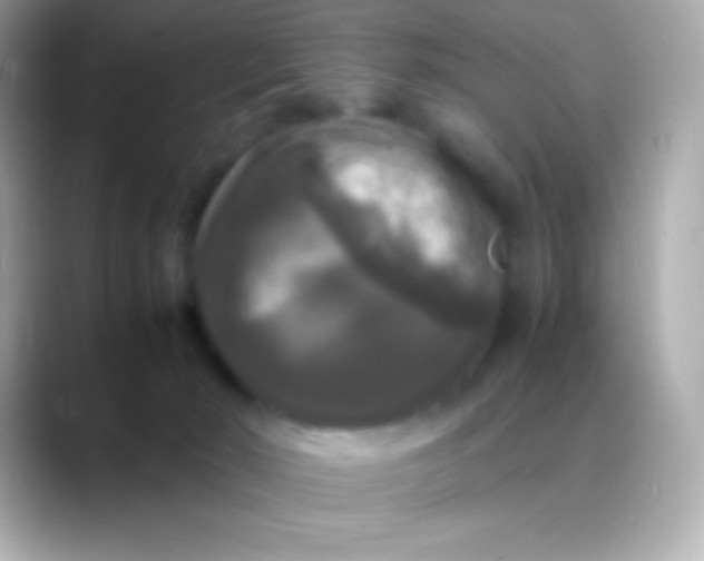 X0000088480030200706051408