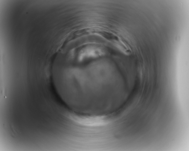 X0000088480032200706051408