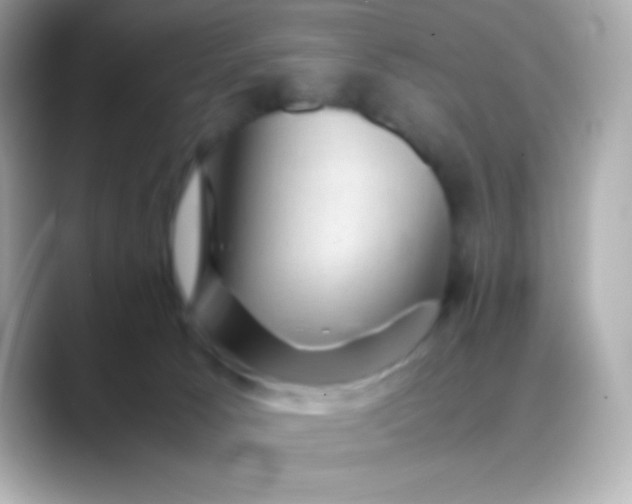 X0000088480033200706051408