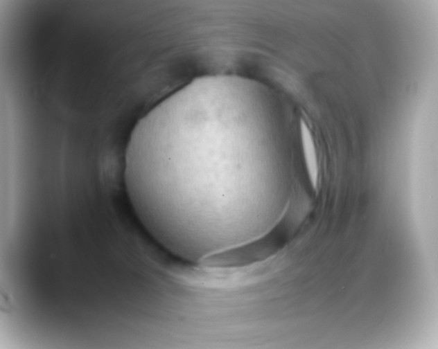 X0000088480037200706051408