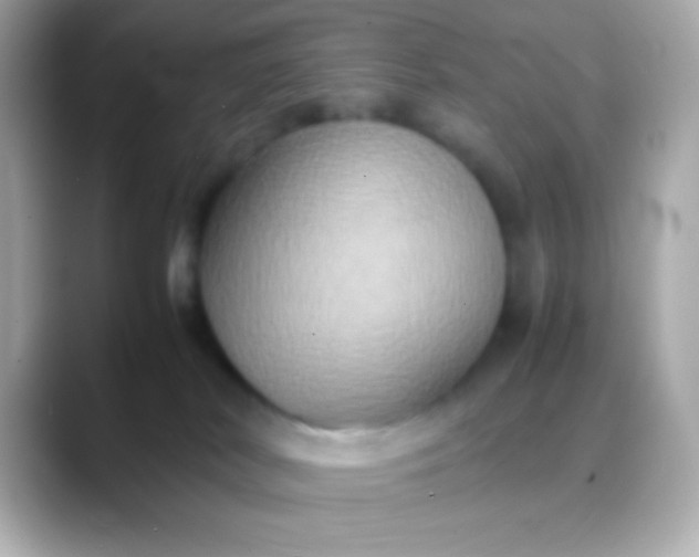 X0000088480038200706051408