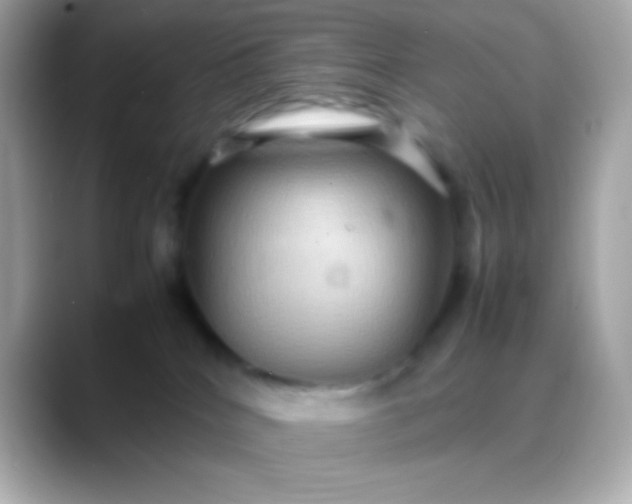 X0000088480040200706051408