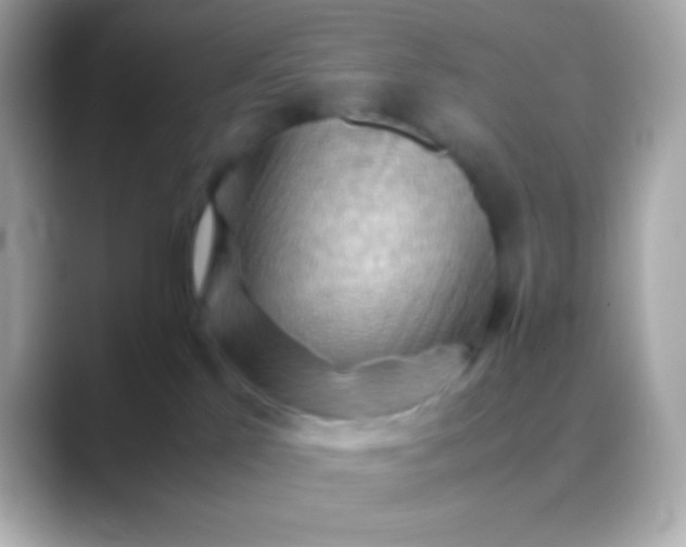 X0000088480041200706051408