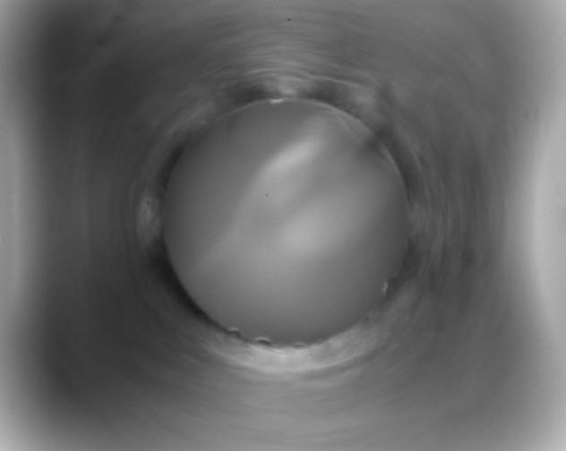 X0000088480043200706051408