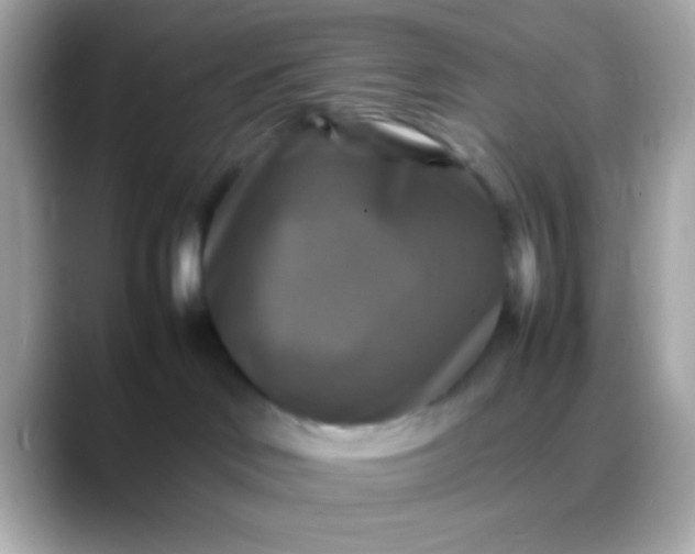 X0000088480046200706051408