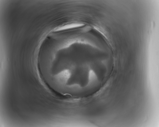 X0000088480049200706051407