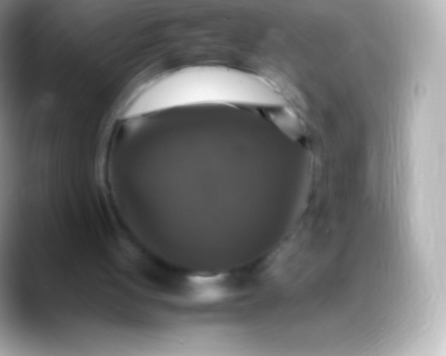 X0000088480051200706051407