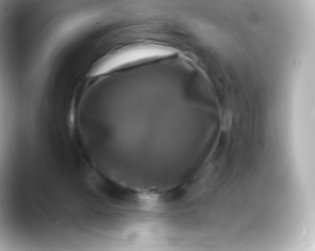 X0000088480052200706051407