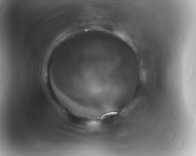 X0000088480053200706051407
