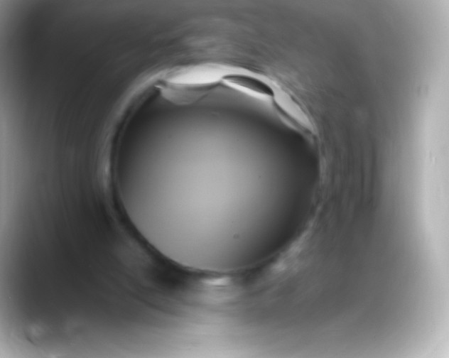 X0000088480054200706051407