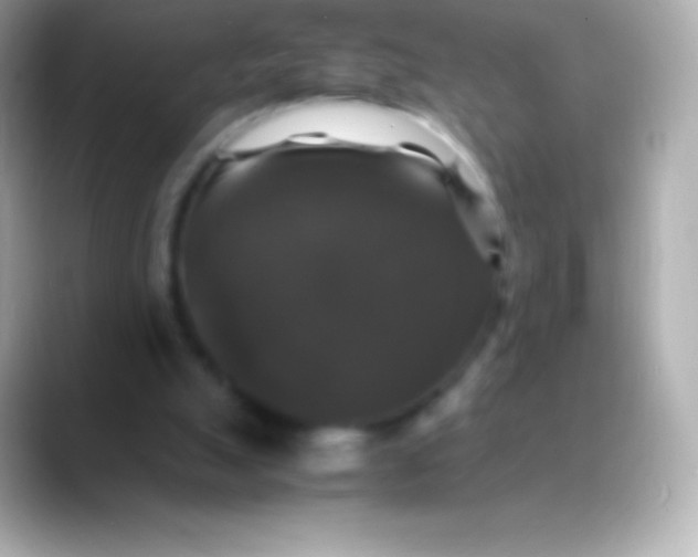 X0000088480055200706051407