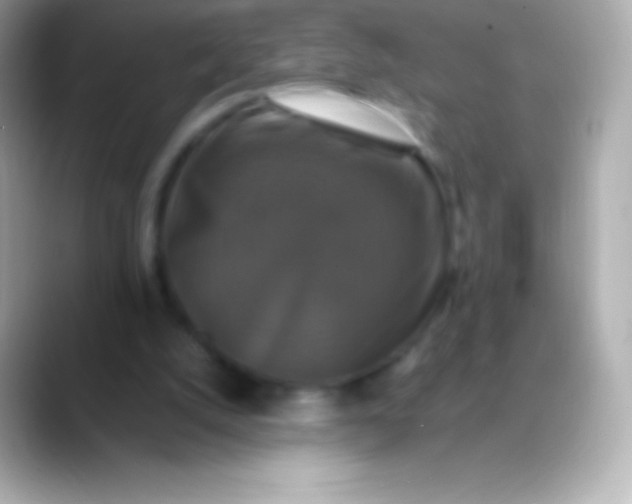 X0000088480056200706051407