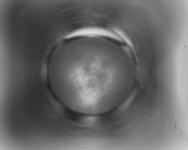 X0000088480057200706051407