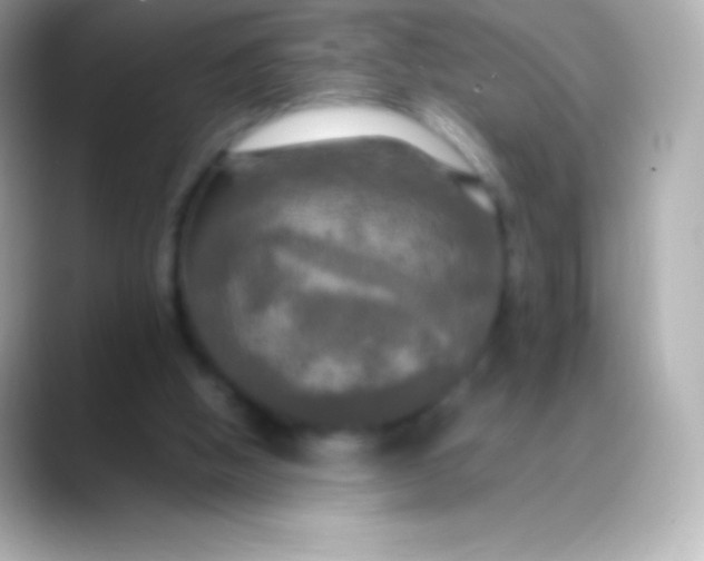 X0000088480058200706051408