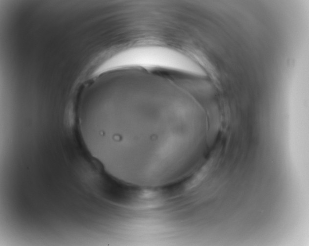 X0000088480060200706051408