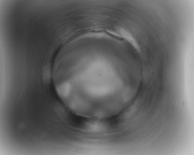 X0000088480065200706051408