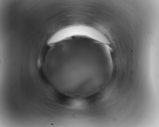 X0000088480069200706051408
