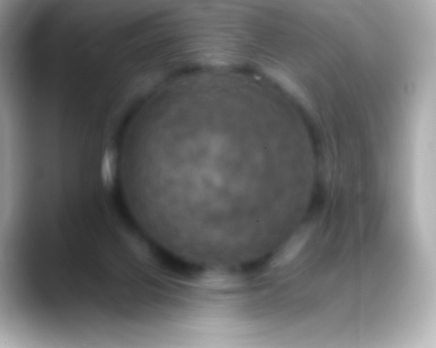 X0000088480070200706051408