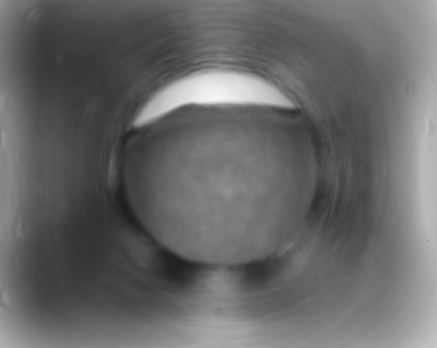 X0000088480074200706051408
