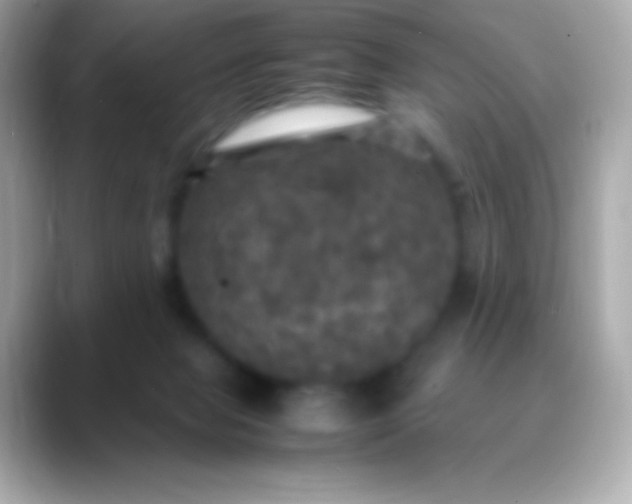 X0000088480077200706051408