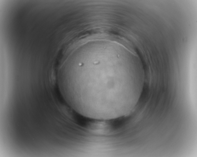 X0000088480086200706051408