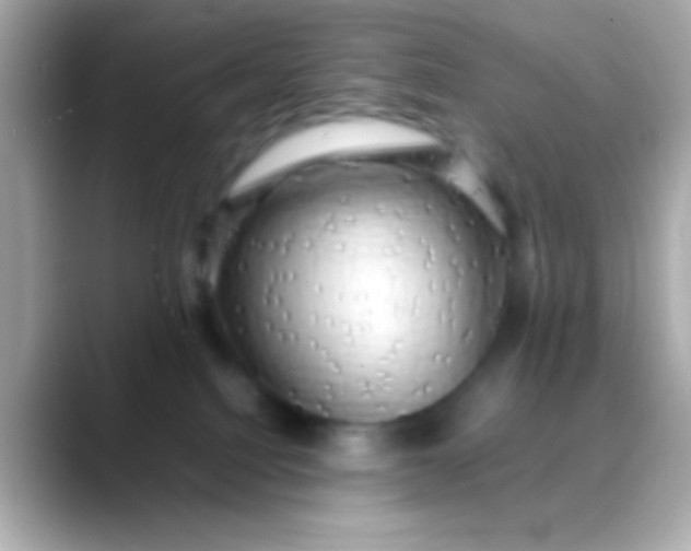 X0000088480088200706051408