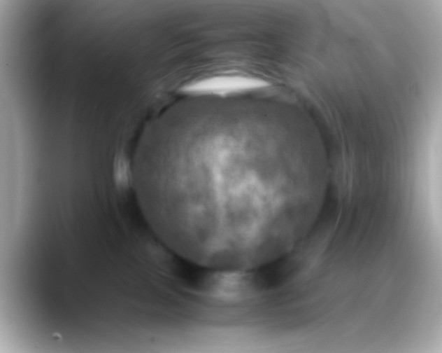 X0000088480089200706051408