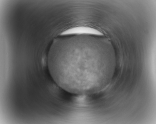 X0000088480090200706051408