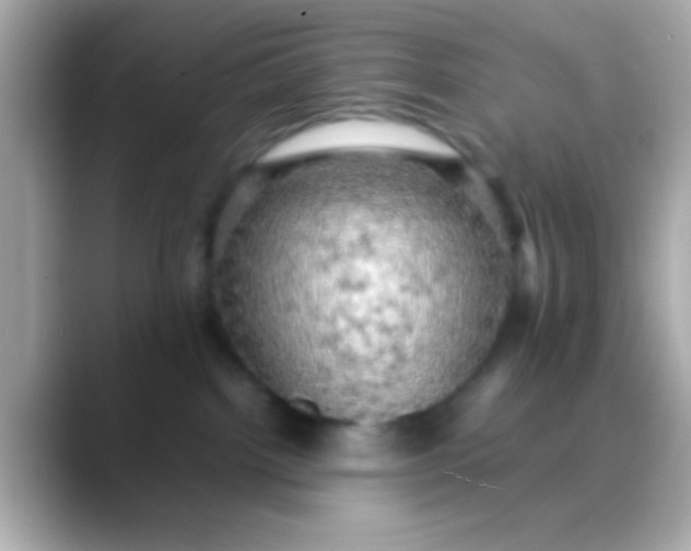X0000088480092200706051408