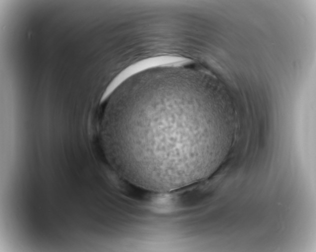 X0000088480096200706051408