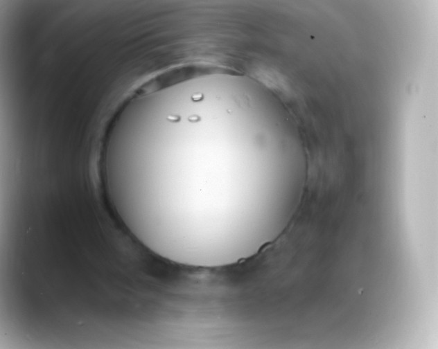 X0000088480098200706051407