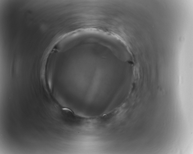 X0000088480099200706051407