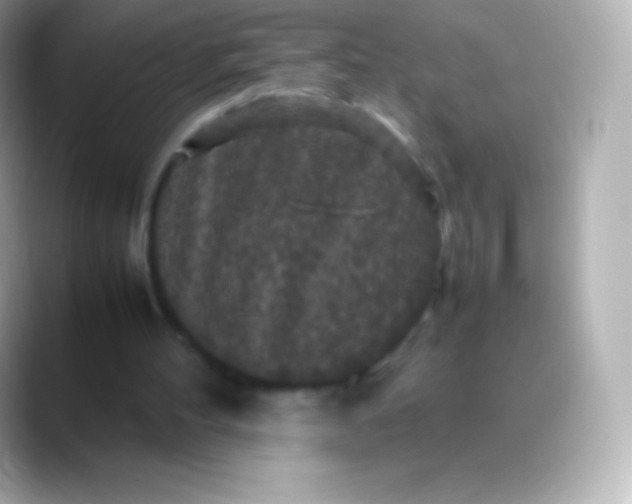 X0000088480100200706051407