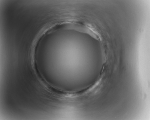 X0000088480101200706051407