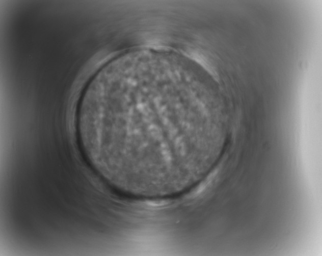 X0000088480103200706051407