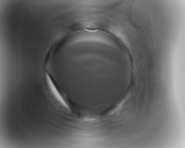 X0000088480105200706051407
