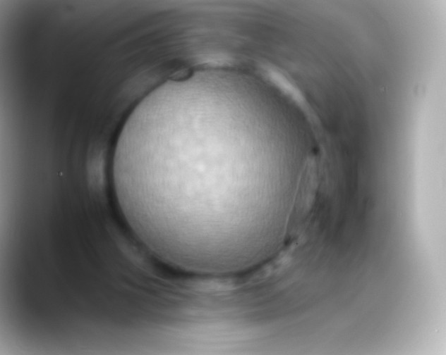 X0000088480106200706051407