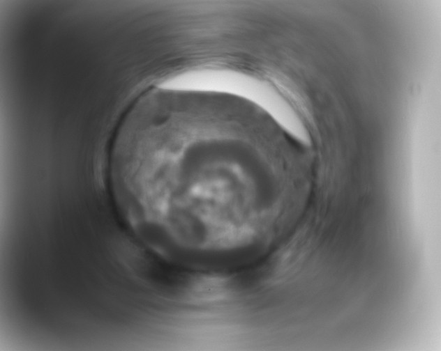 X0000088480107200706051407