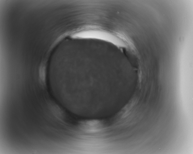 X0000088480108200706051407