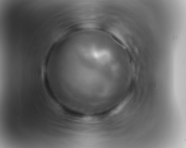 X0000088480109200706051407