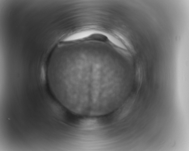 X0000088480110200706051407