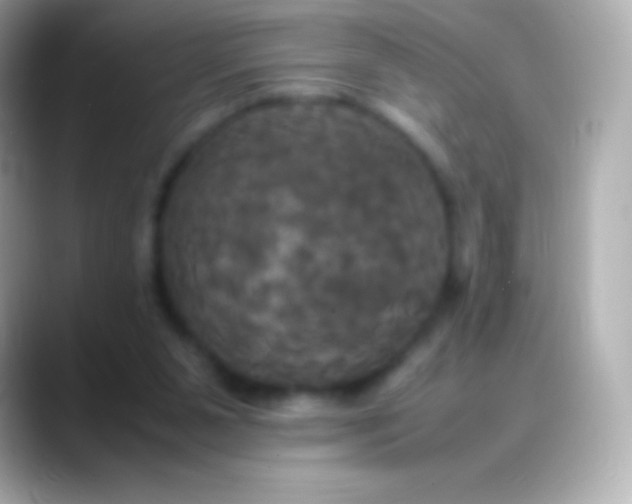 X0000088480111200706051407