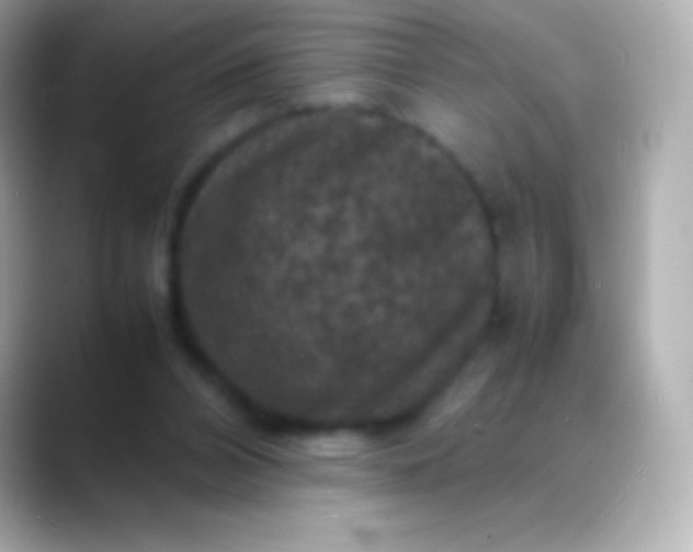 X0000088480112200706051407