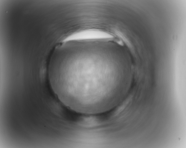 X0000088480113200706051407