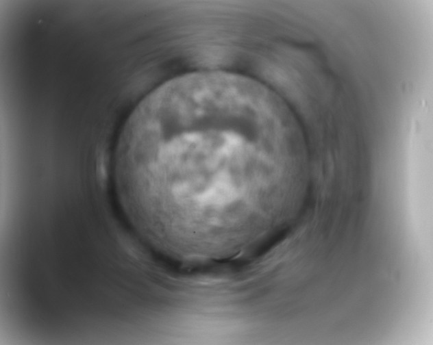 X0000088480115200706051407
